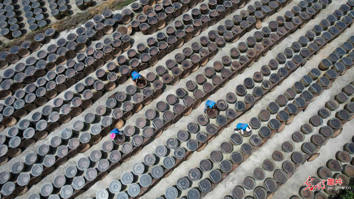 In pics: vinegar brewing technique, provincial intangible cultural heritage of SW China's Guizhou Province