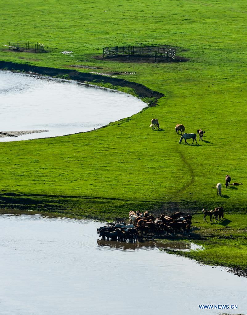 Scenery of Morigele River in Hulun Buir, N China