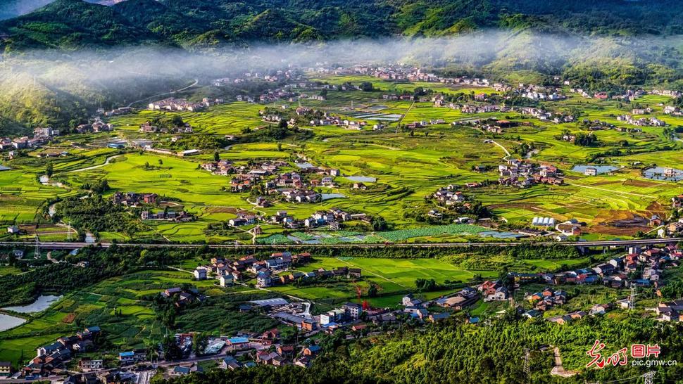 环境美化助振兴