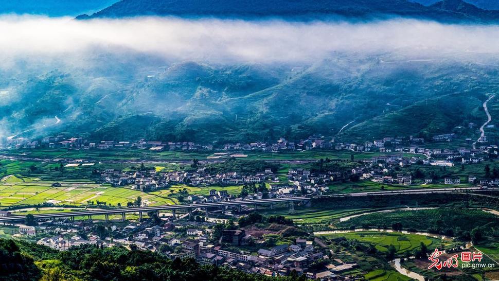 环境美化助振兴