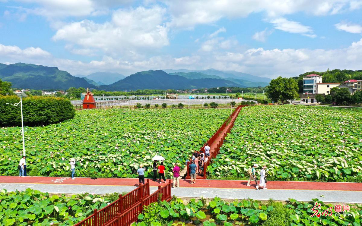 Local governments across China promoting integrated development of agriculture and rural tourism