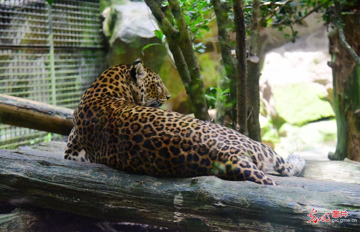 animals enjoying the coolness at zoos