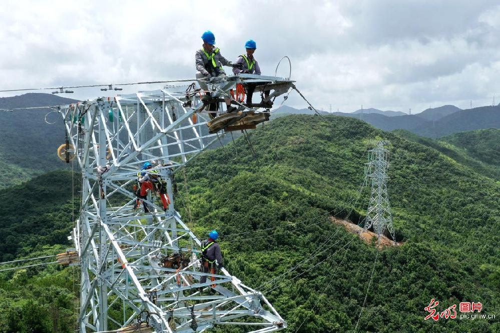 Effective response made to minimize typhoon effects on transmission towers