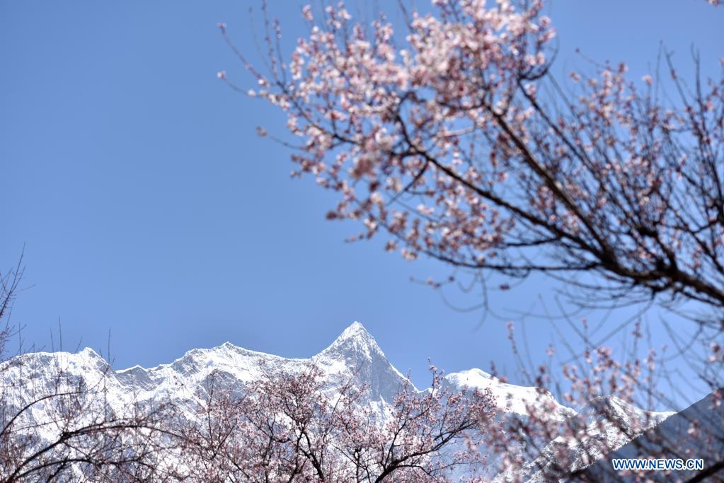 People's daily life in Nyingchi, Tibet