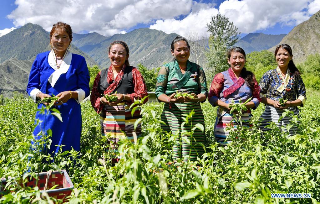 People's daily life in Nyingchi, Tibet