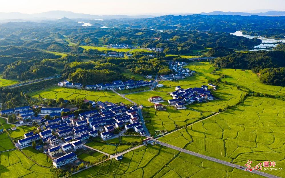 Picturesque landscape of E China's village