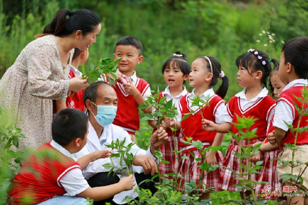 TCM-themed excursion held for kids in SW China’s Guizhou
