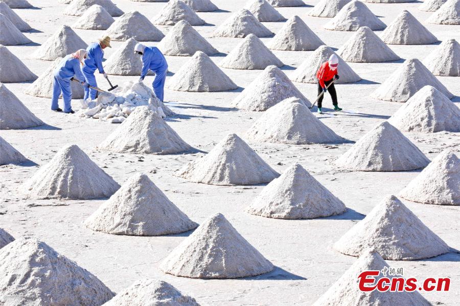 In Pics: A glimpse of salts in Gansu