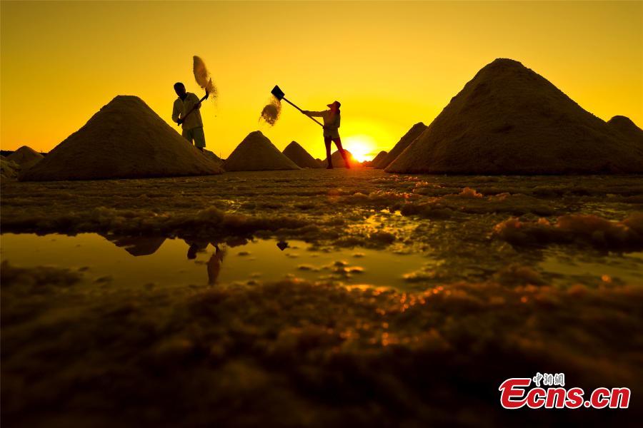 In Pics: A glimpse of salts in Gansu