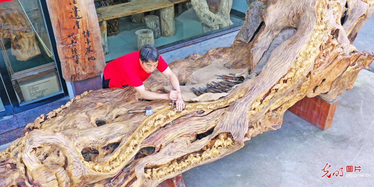 Root Carving Art Museum in E China's Zhejiang letting more people get to know the craft 