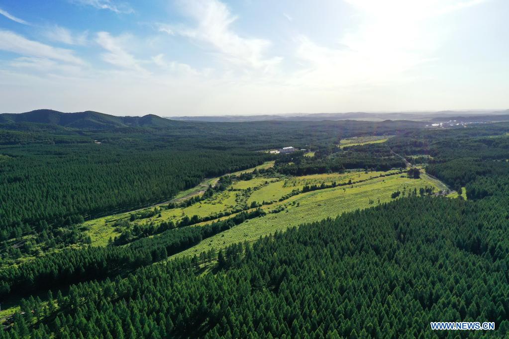 In pics: Saihanba forest farm in Hebei