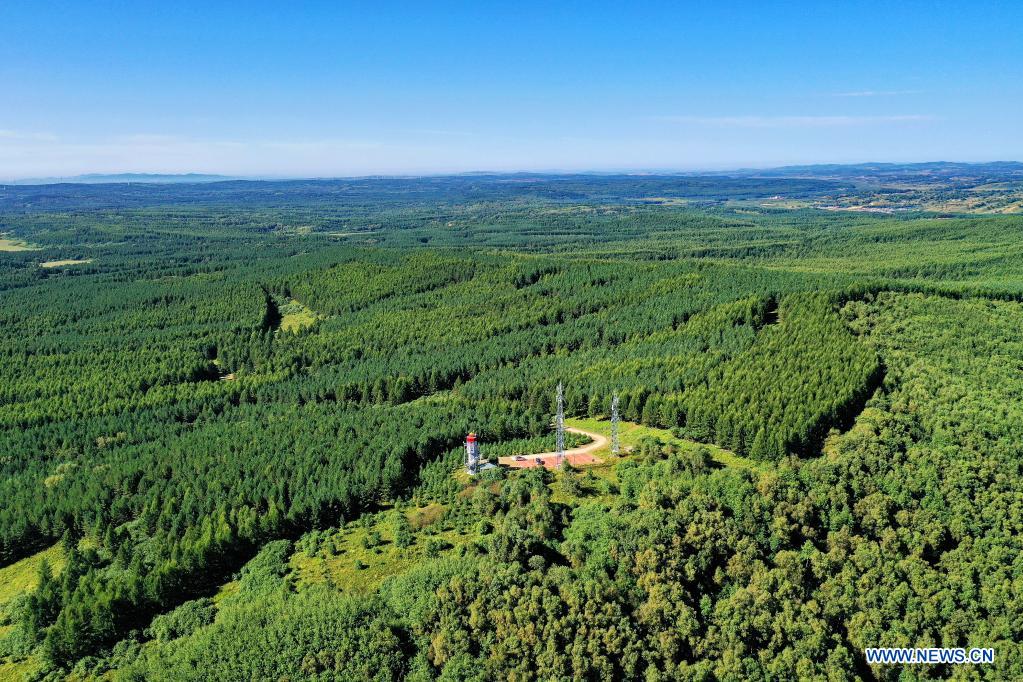 In pics: Saihanba forest farm in Hebei