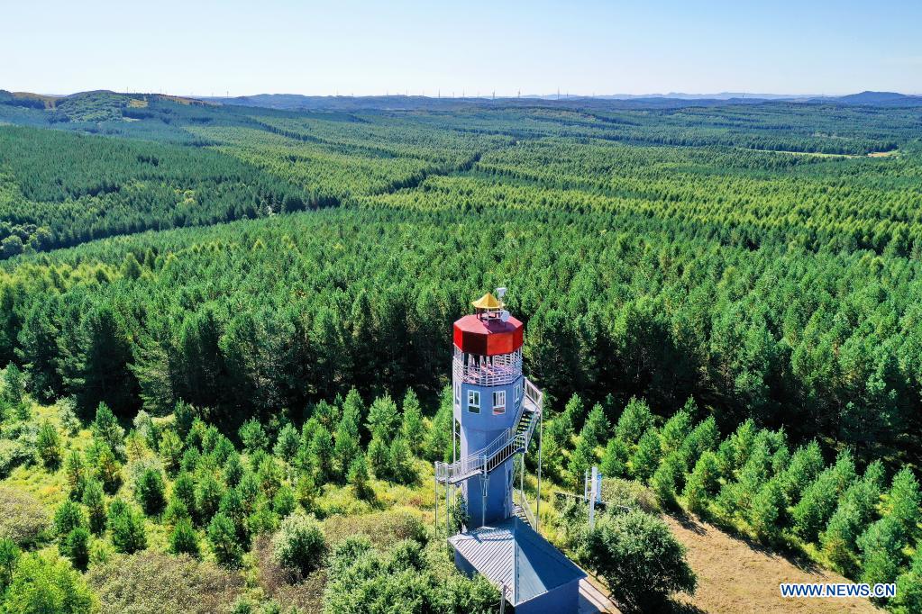 In pics: Saihanba forest farm in Hebei