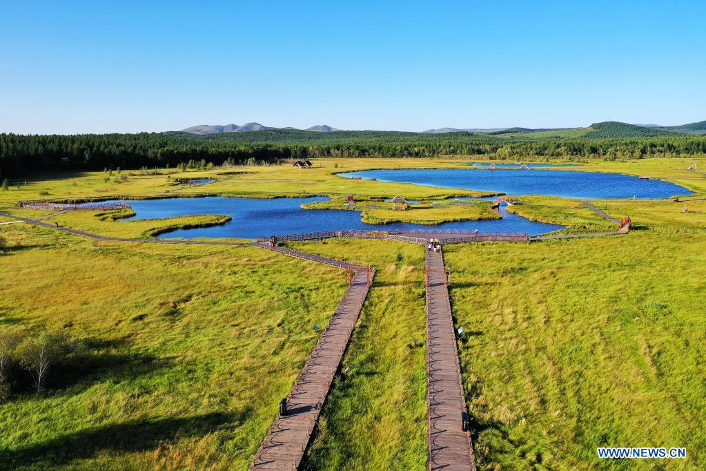 In pics: Saihanba forest farm in Hebei