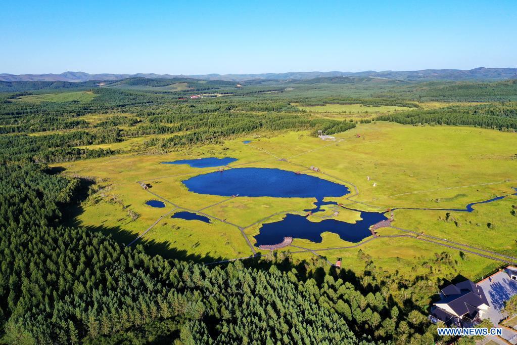 In pics: Saihanba forest farm in Hebei