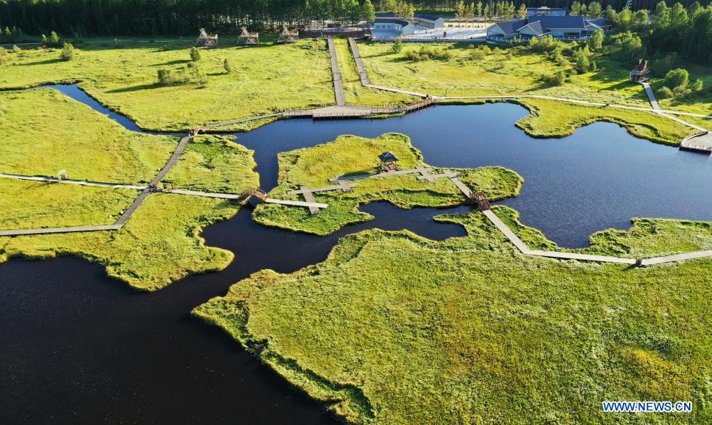 In pics: Saihanba forest farm in Hebei