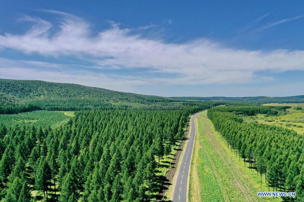 In pics: Saihanba forest farm in Hebei