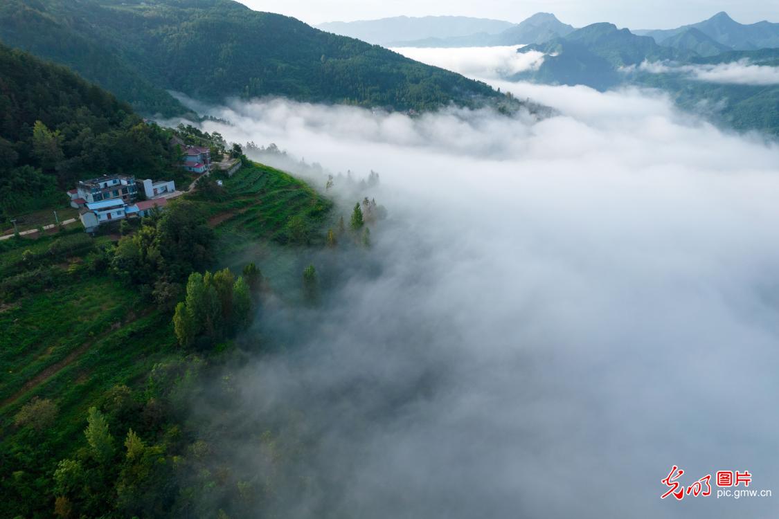 Sea of clouds overlooks Jingshan Mountain, as the mountain city emerges