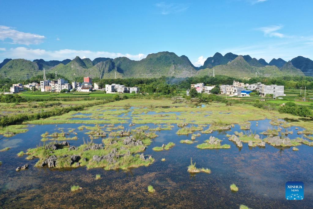 View of Chengjiang River wetland park in south China
