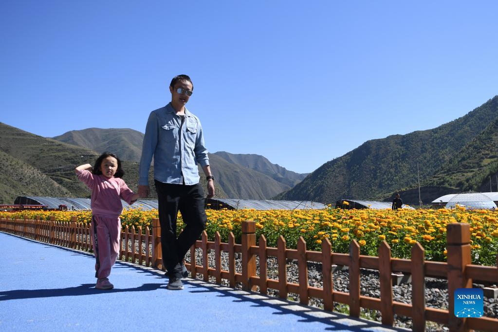 Rural tourism increases villagers' income in Gansu
