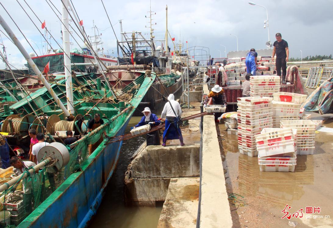 Taizhou City of E China's Zhejiang Province: fishing boats take refuge from typhoon