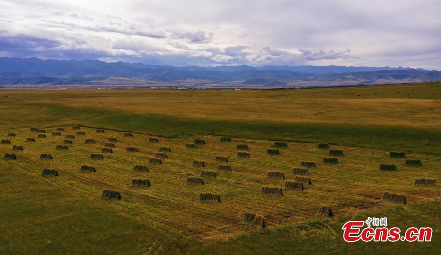 Autumn scenery of Qilian Mountains in NW China's Qinghai