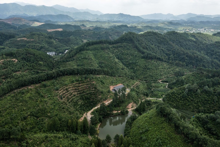 China's first forest carbon sink bonds issued