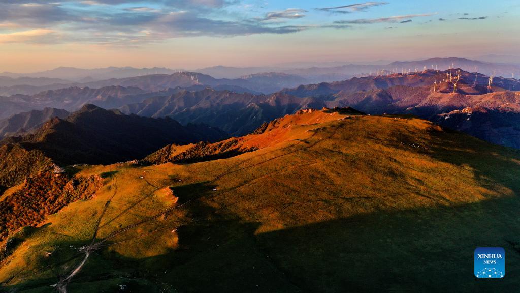 In pics: alpine meadow in Shannxi Province