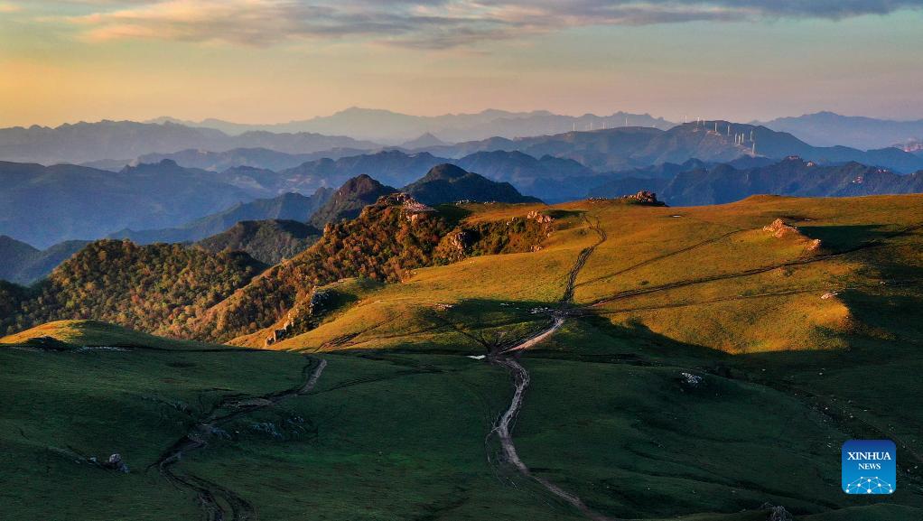 In pics: alpine meadow in Shannxi Province