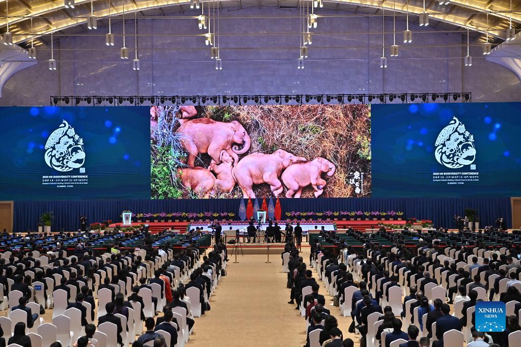 COP15 kicks off in China's Kunming with ecological civilization in spotlight