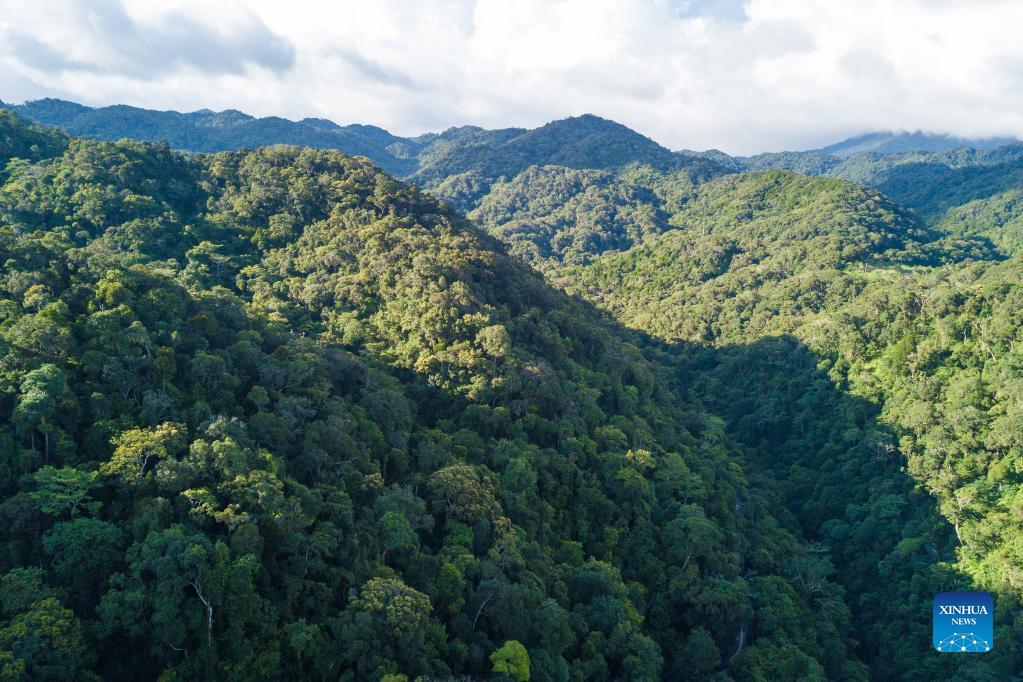 View of Hainan Tropical Rainforest National Park