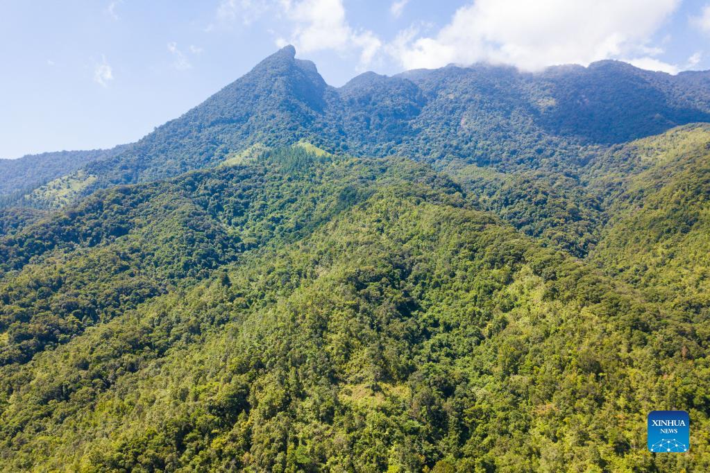 View of Hainan Tropical Rainforest National Park