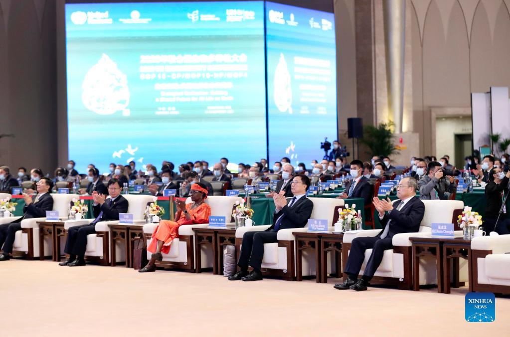 Chinese vice premier addresses COP15 leaders' summit