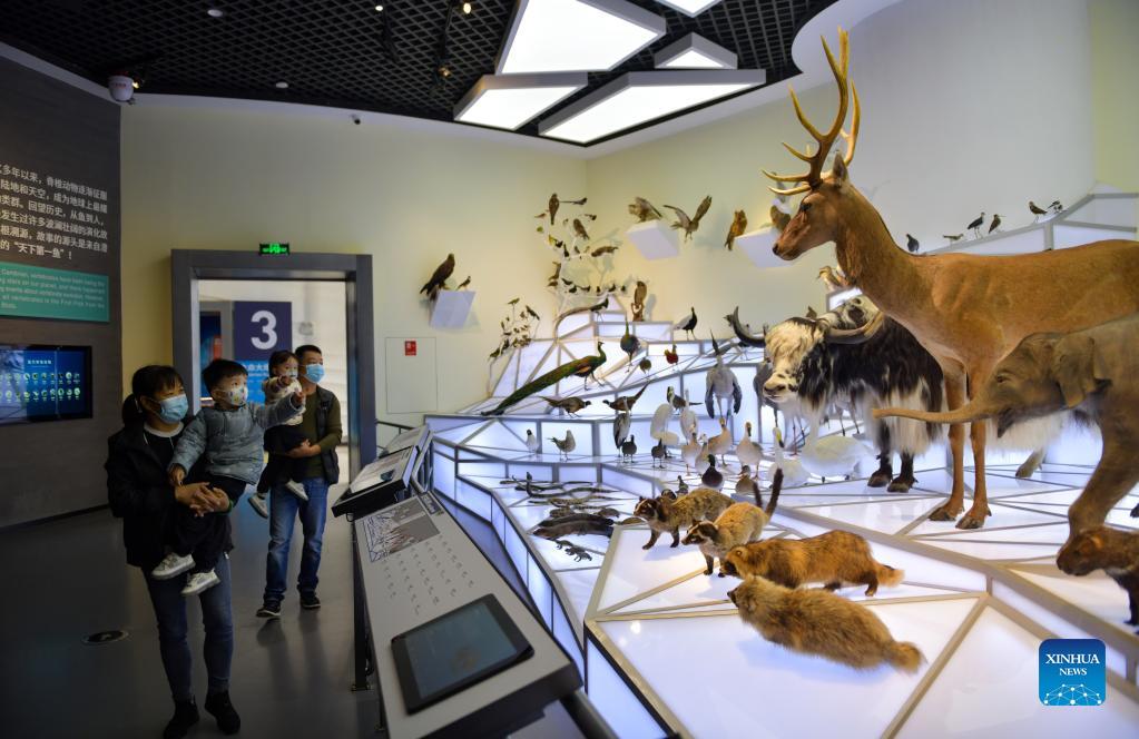 In pics: museum of Chengjiang Fossil site in Yunnan