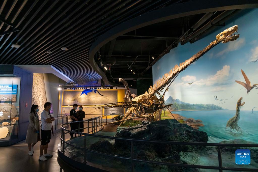 In pics: museum of Chengjiang Fossil site in Yunnan