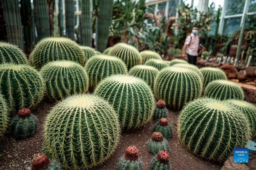 Fuligong Greenhouses at Kunming Botanical Garden