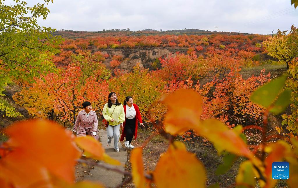 Autumn scenery of Yulin City in Shaanxi