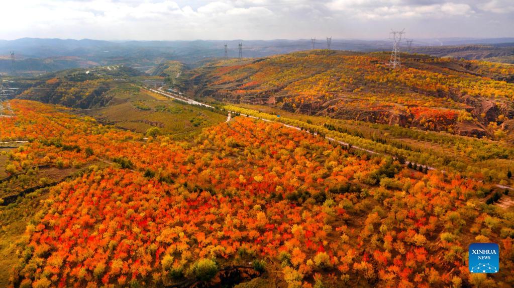 Autumn scenery of Yulin City in Shaanxi