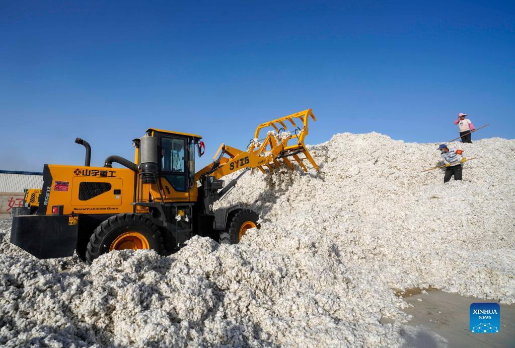 Cotton harvest season starts in Xinjiang