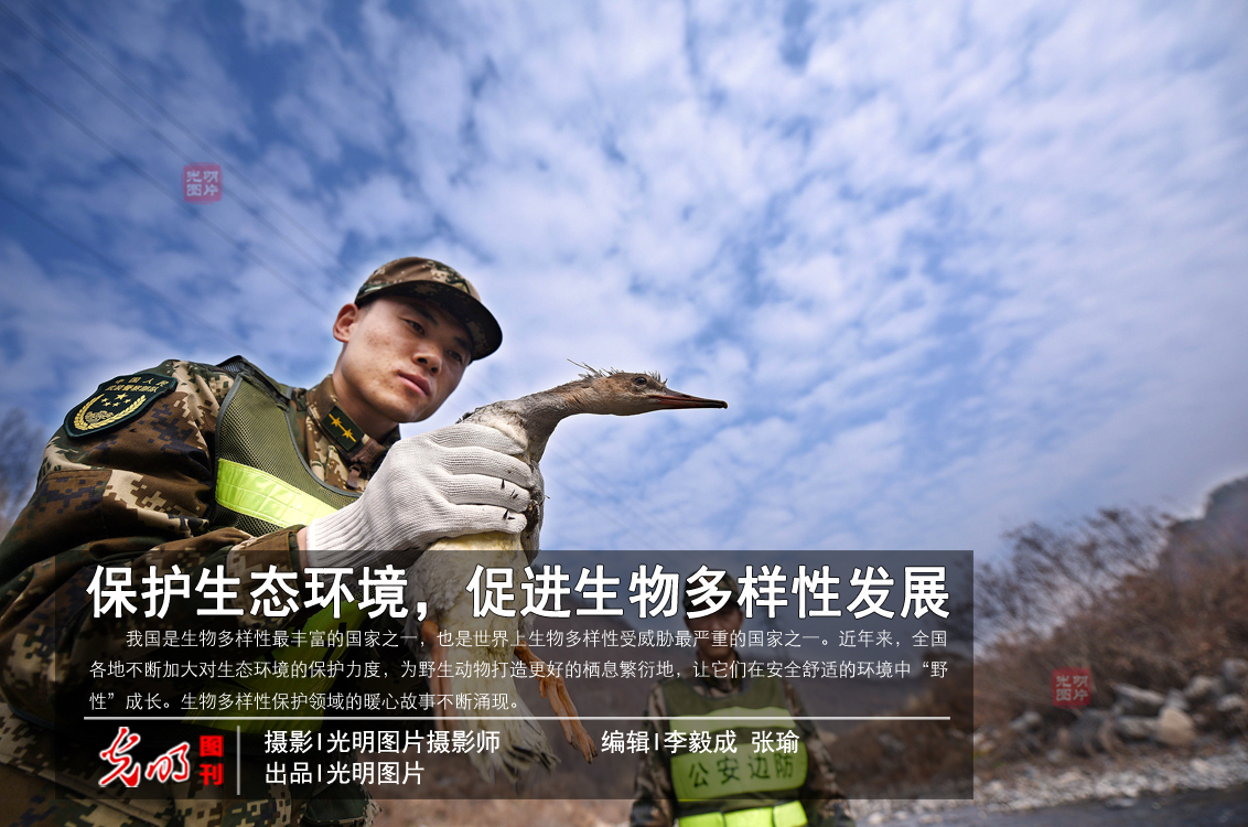 Biodiversity effectively protected as ecological environment improved in China