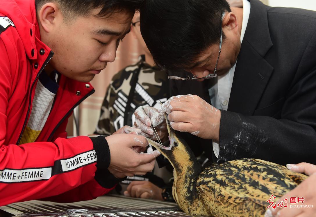 Biodiversity effectively protected as ecological environment improved in China