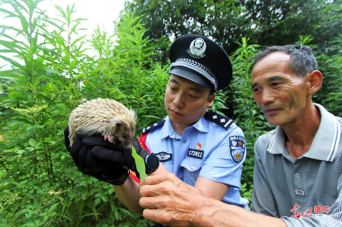 Biodiversity effectively protected as ecological environment improved in China