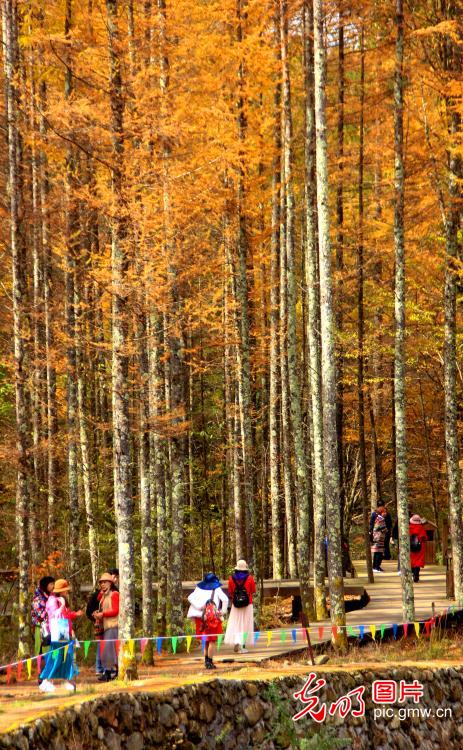 Guangwu Mountain entering best viewing season