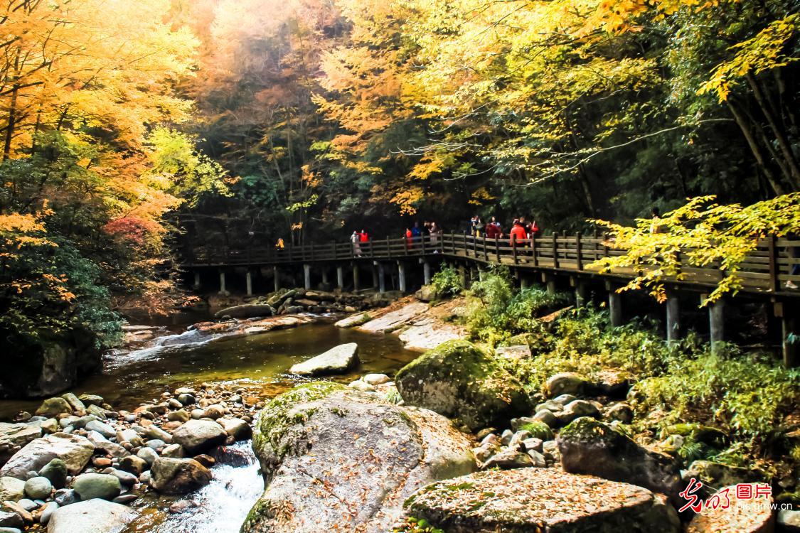 Guangwu Mountain entering best viewing season