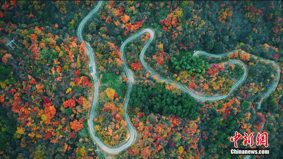 The forest in Yuexi, Anhui province is colorful The forest in Yuexi, Anhui province is colorful