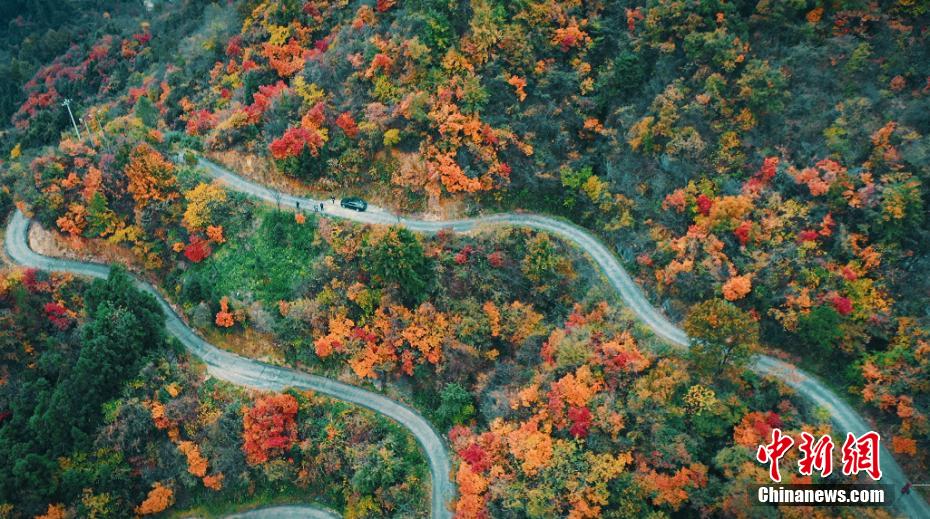 The forest in Yuexi, Anhui province is colorful