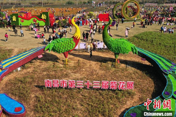 More than one million pots of chrysanthemums opened in Nanchang, attracting a large number of tourists