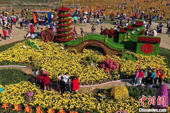 More than one million pots of chrysanthemums opened in Nanchang, attracting a large number of tourists