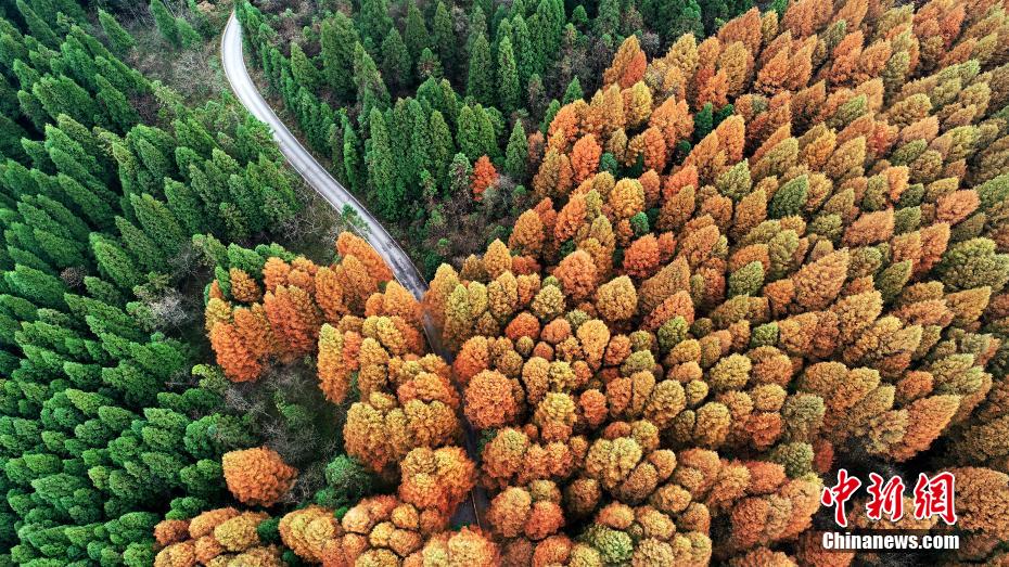 Half of spring and half of autumn are seen in Wuling Mountain National Forest Park Half of spring and half of autumn are seen in Wuling Mountain National Forest Park