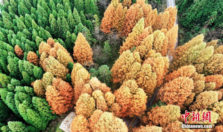 Half of spring and half of autumn are seen in Wuling Mountain National Forest Park